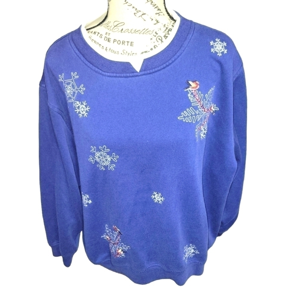𝅺EXTRA Shenanigans sweatshirt